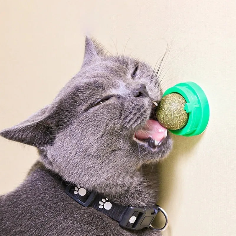 Bola Catnip Natural - Estimula y Entretiene - Diversión y Bienestar en Minutos