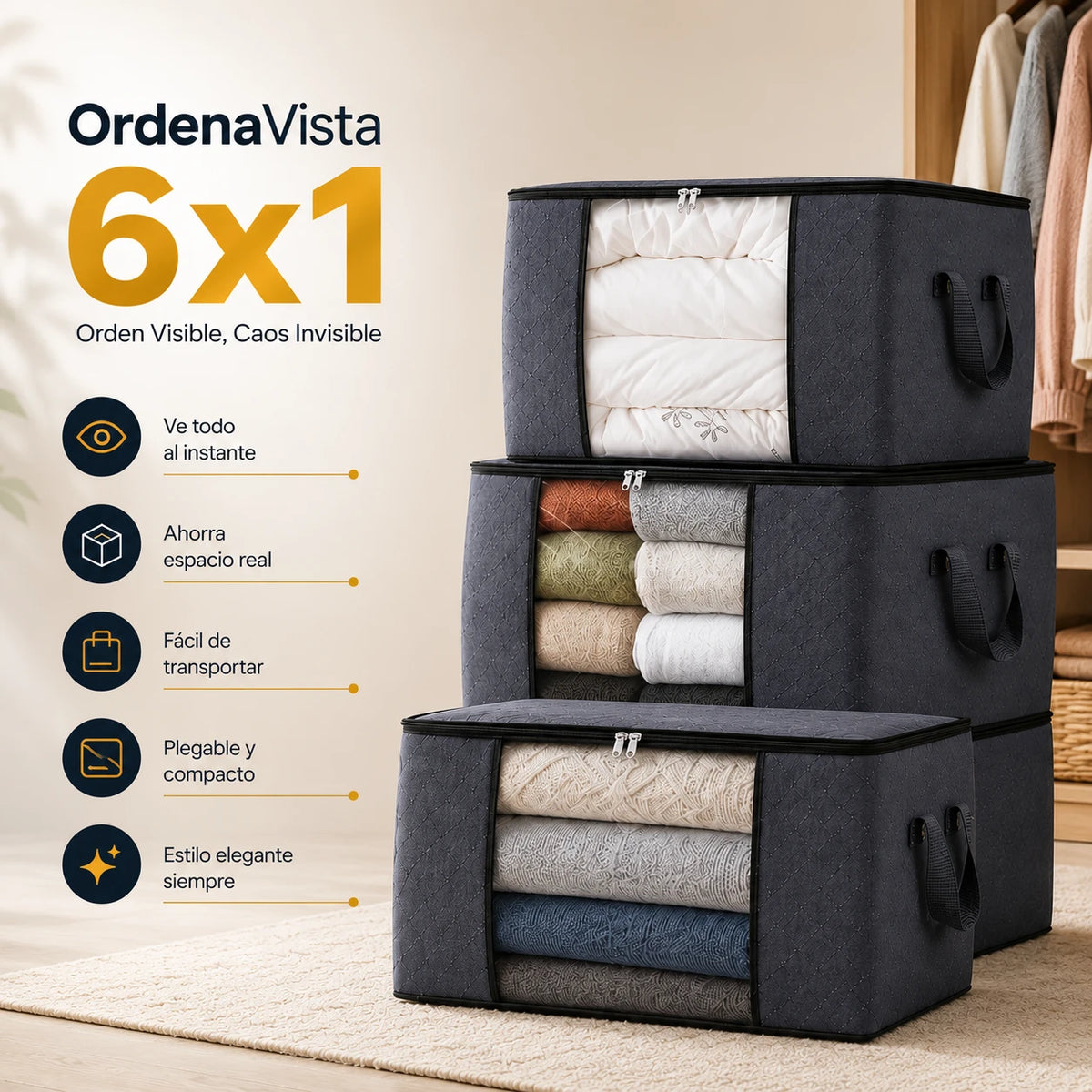 OrdenaVista 6x1 - Orden Visible, Caos Invisible