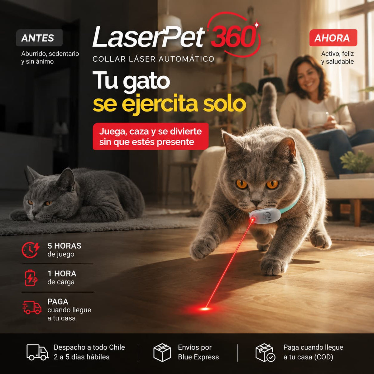 LaserPet 360 - El Collar que Ejercita a tu Gato Solo