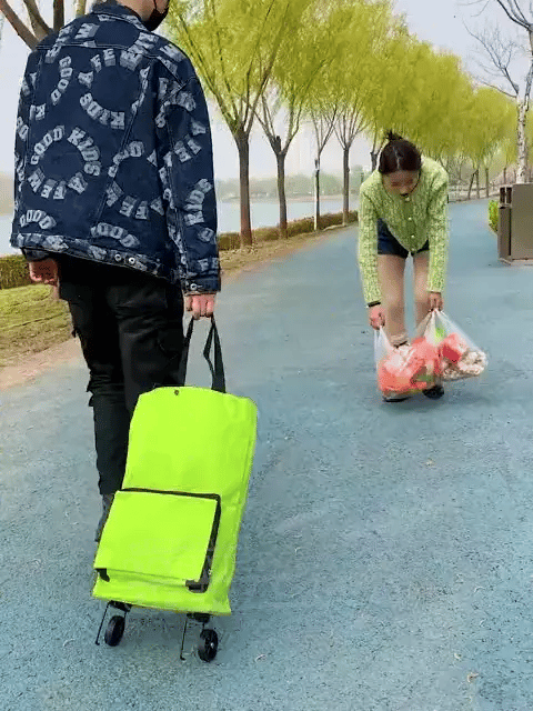 RodaFácil - La bolsa que carga sola por ti